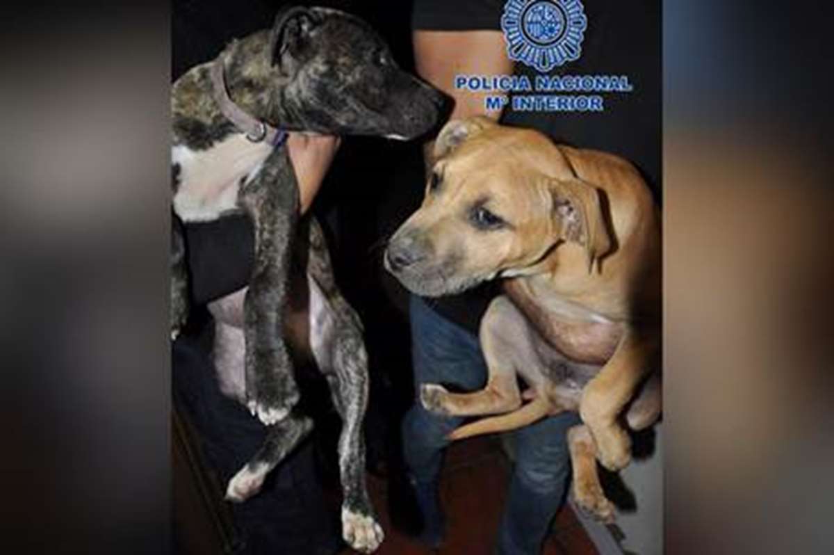 Estas fotos prueban que Jorge está mejor sin Anfisa