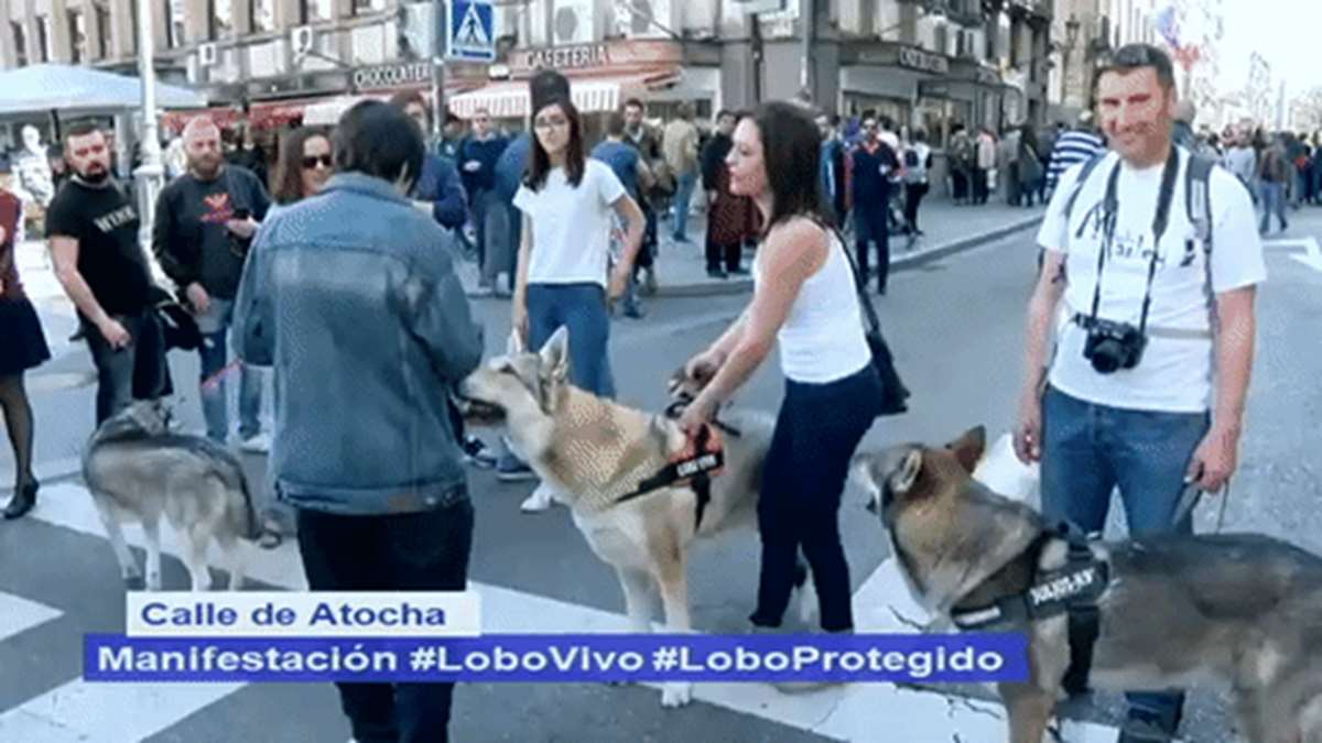 Isabel Pantoja opina sobre el vídeo íntimo de su sobrina Anabel y Yulen